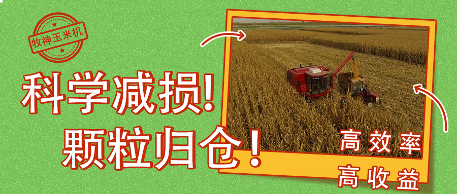 科(ke)學(xué)減損　顆粒歸倉